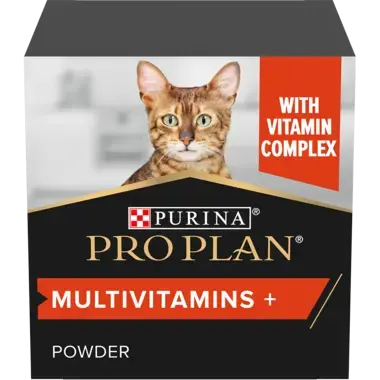 Cat supplement powder best sale